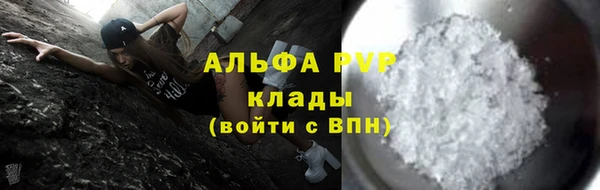 ECSTASY Бородино