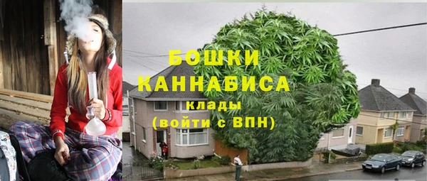 ПСИЛОЦИБИНОВЫЕ ГРИБЫ Богородск